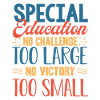 Éducation spécialisée, Éducation spécialisée