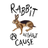 Rabbit without a cause