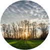 Sunlight in spring