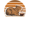 Cappybara Capybara Café Capybara Fans