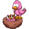 Mother Bird Feeding Her Nest