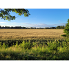Bayerische Landschaft