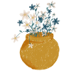 Blume