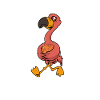 Cartoon Flamingo collects muscles