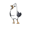 Kawaii Albatross