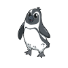 Kawaii Spectacled Penguin