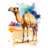 Camel in the desert