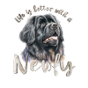 Newfoundlander
