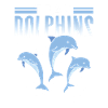 Team Dolphins Dolphin Dolphin Lovers Dolphin