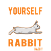 Lapin lapin lapin lapin