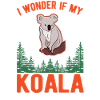 Koala lover Koala bear