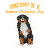 Bovaro del Bernese