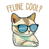 Félin Cool