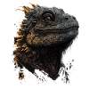 Bearded dragon