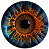 Eine Iris als biometrisches Identifikationssystem