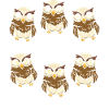 Bird Watching Caffeine Drinkers
