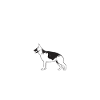 German Shepherd Gifts