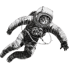 Astronaut Cat