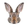 Rabbit Polygon Rabbit Geometric