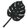 Monstera