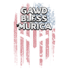 Gawd Bless Murica 4 luglio Meme Quarto di