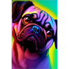 Mops Hund