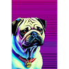 Mops Hund
