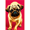 Pug Dog