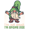 Jardin Gnome Jardin