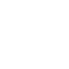 Chihuahua Dad Chihuahua Dogs