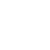 Chihuahua Mom Chihuahua Dog