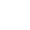Sketch of nature (white)