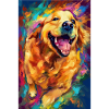 Labrador Golden Retriever