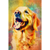 Labrador, Golden Retriever