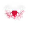 Polish flag Eagle Pole Poland