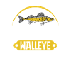 Walleye Hunter Walleye Fishing