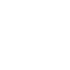 Bridal Wedding Party