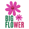 Big Flower