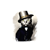 chat domestique
