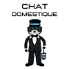 Chat domestique