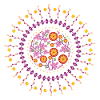Sun mandala flower garden