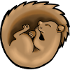 Sleeping squirrel
