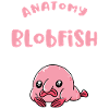 Anatomie Eines