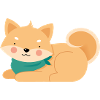 Shiba Inu