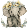 Bébé éléphant