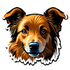 cute dog