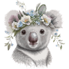 Cute Koala