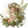 Flower Fairy