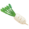 Radish