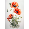 Mohnblume